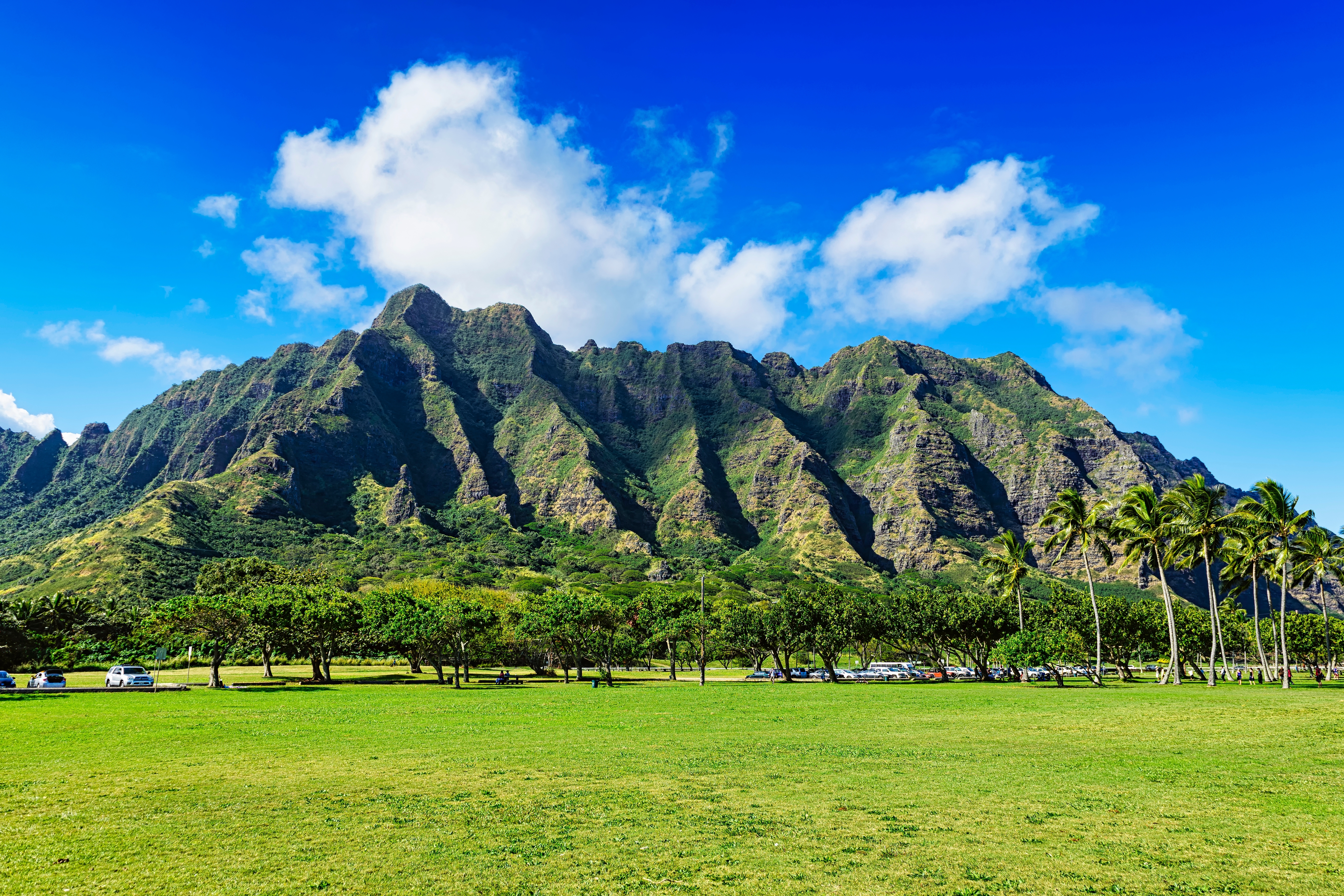 Hawaii Cruises